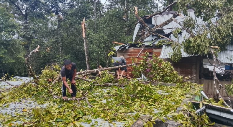 foto slider headline